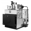 ICI Caldaie BX 600 - Промышленный парогенератор, 1000 кг пара в час