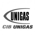 CIB Unigas 30602B3 Голова сгорания