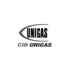 CIB Unigas 2540055 Муфта двигатель-насос