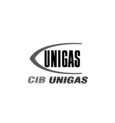 CIB Unigas 30605BW Голова сгорания
