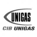 CIB Unigas 25700С5 Регулятор давления